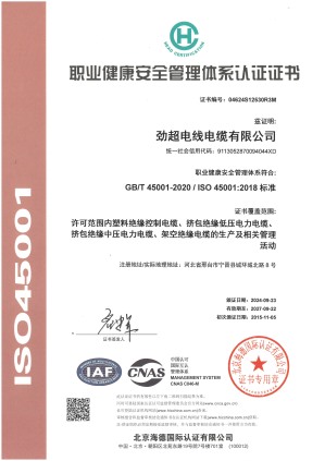 Occupational Health and Safety Management System Certification